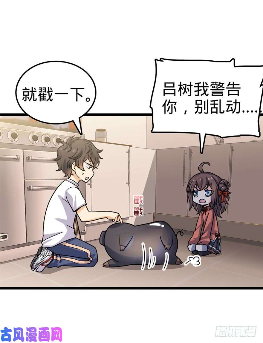 大王饶命24 猪，快跟我话家~