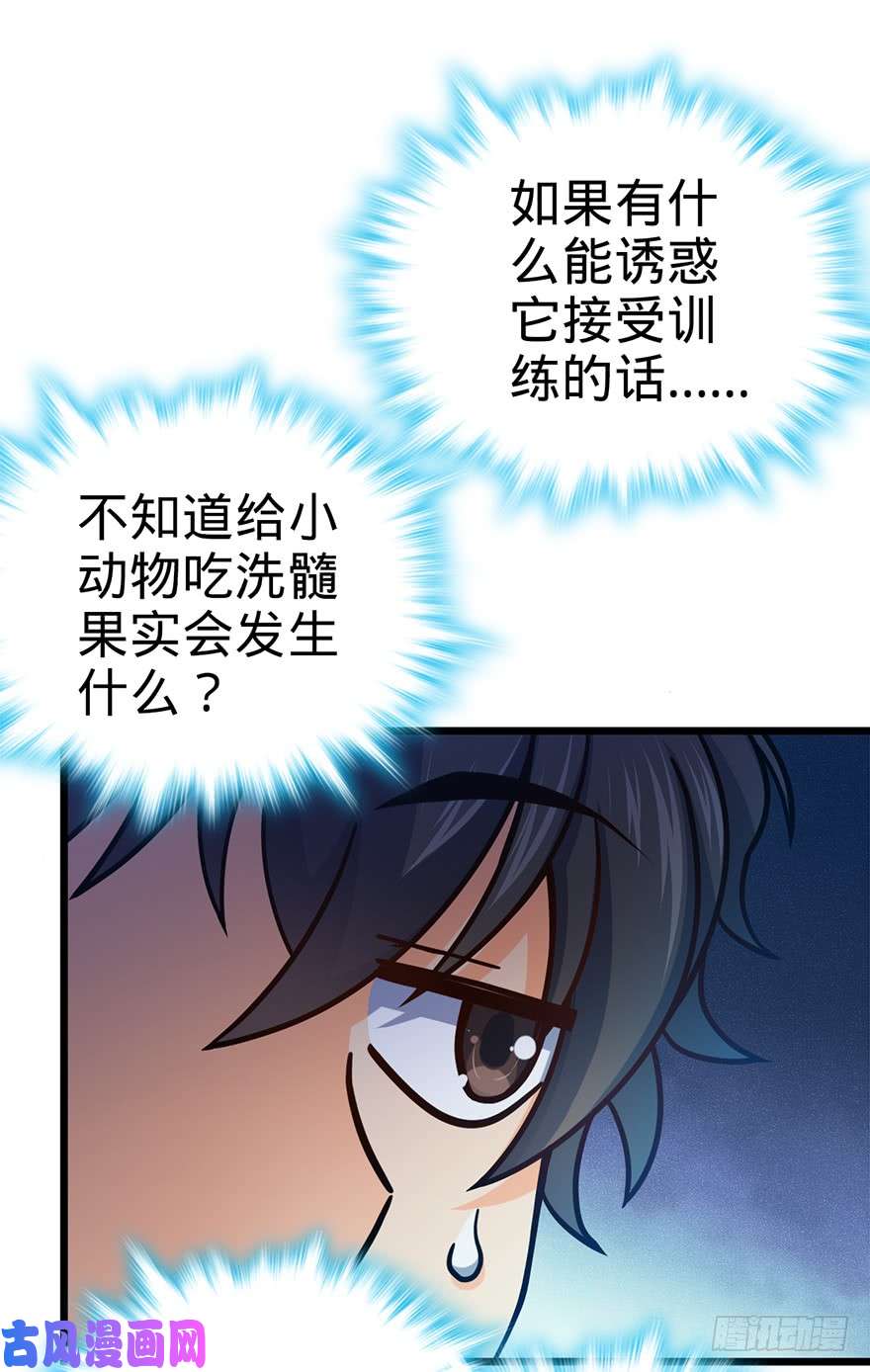 大王饶命49 鼠生耻辱