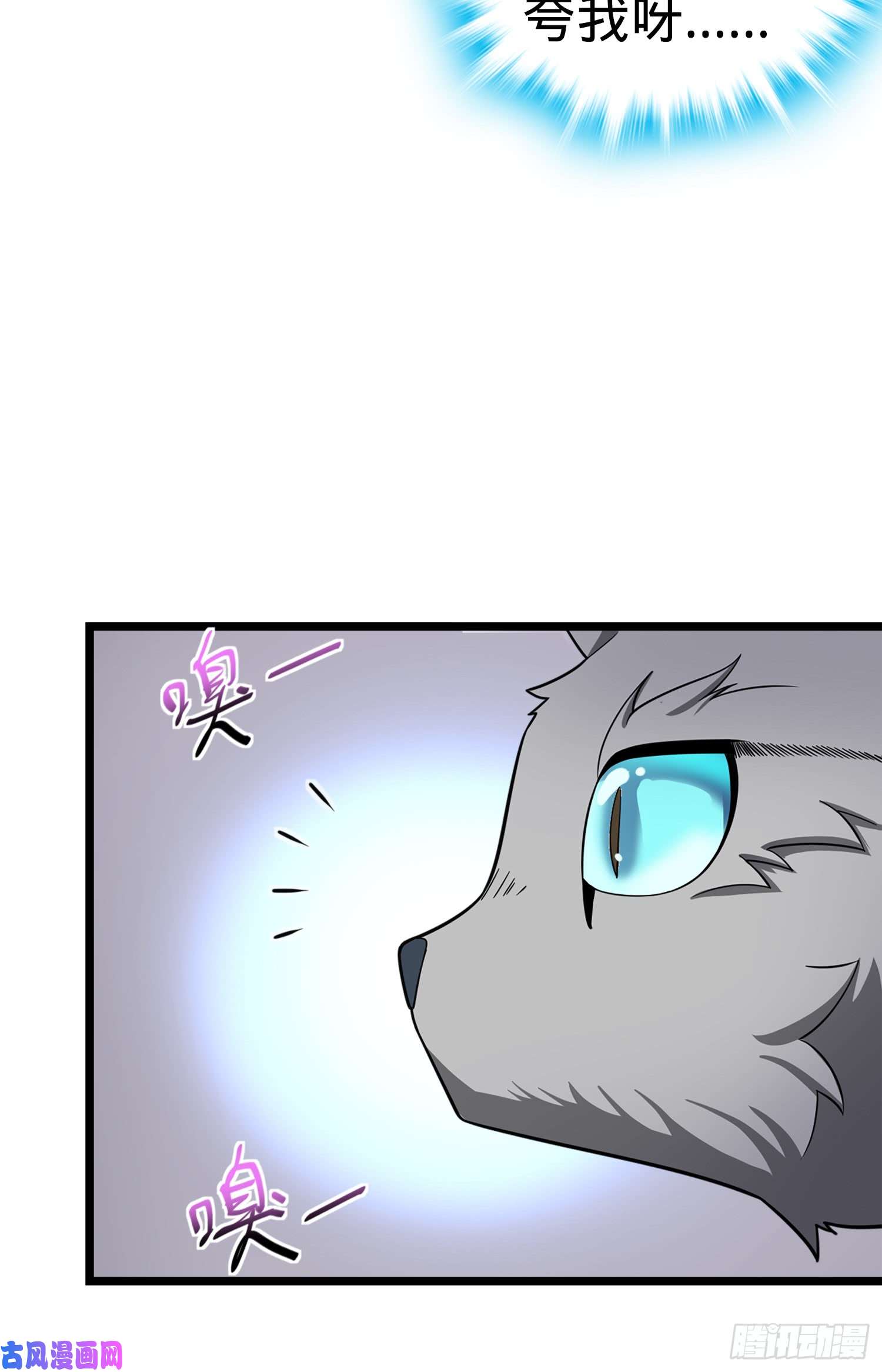 大王饶命79 皮皮猪，我们走！