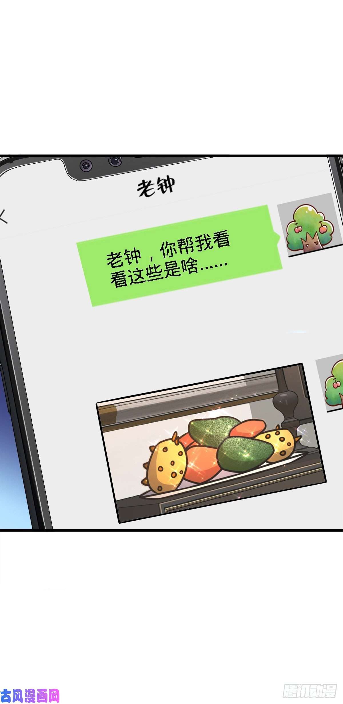 大王饶命340 梧桐木