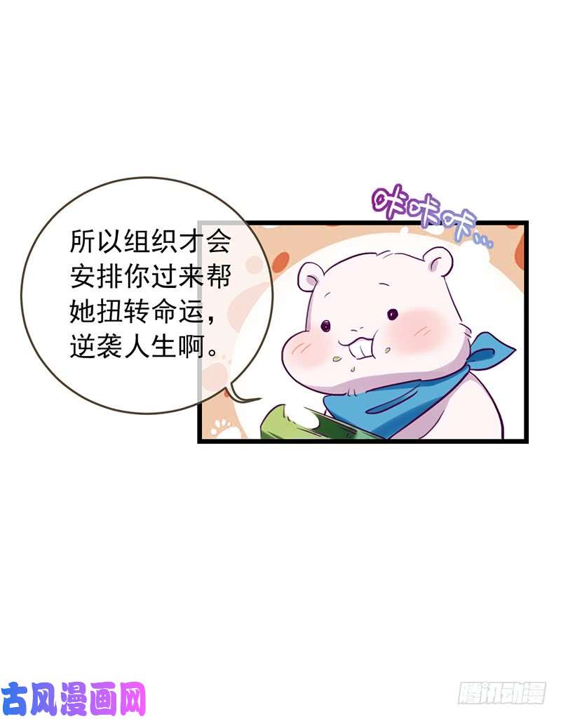 万渣朝凰枉死的贵妃