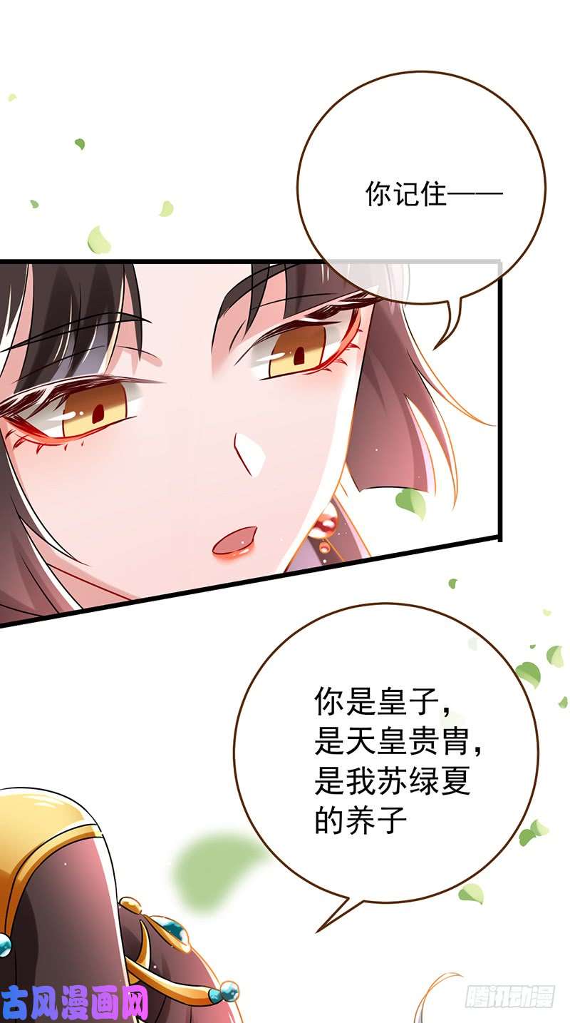 万渣朝凰我给渣男养儿子