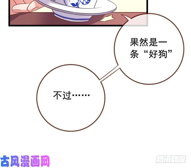 万渣朝凰本宫也不是什么恶魔