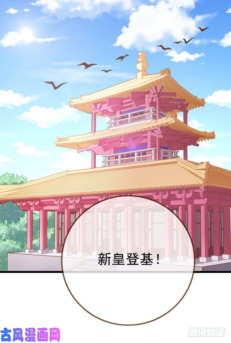 万渣朝凰新皇万岁
