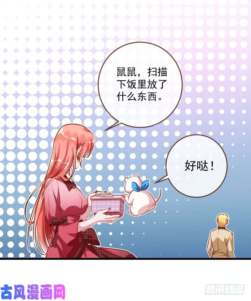 万渣朝凰虐渣进行时