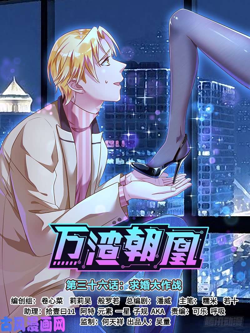 万渣朝凰求婚大作战