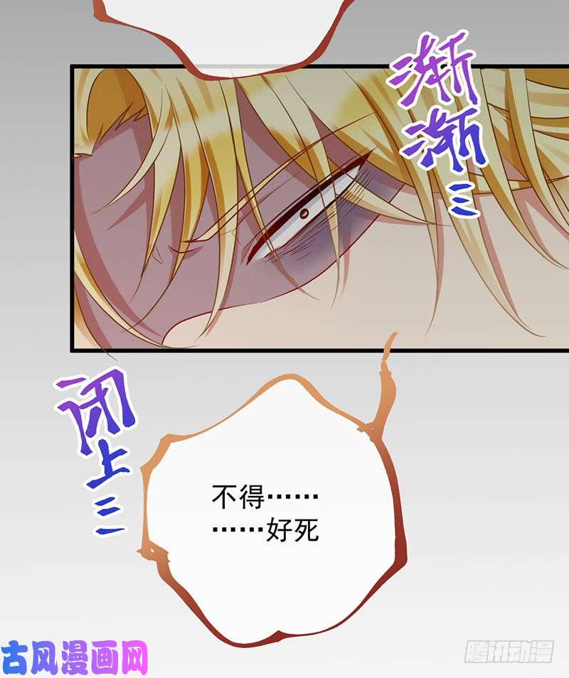 万渣朝凰求婚大作战