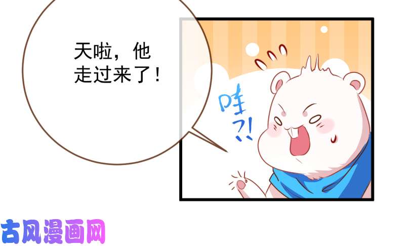 万渣朝凰求婚大作战