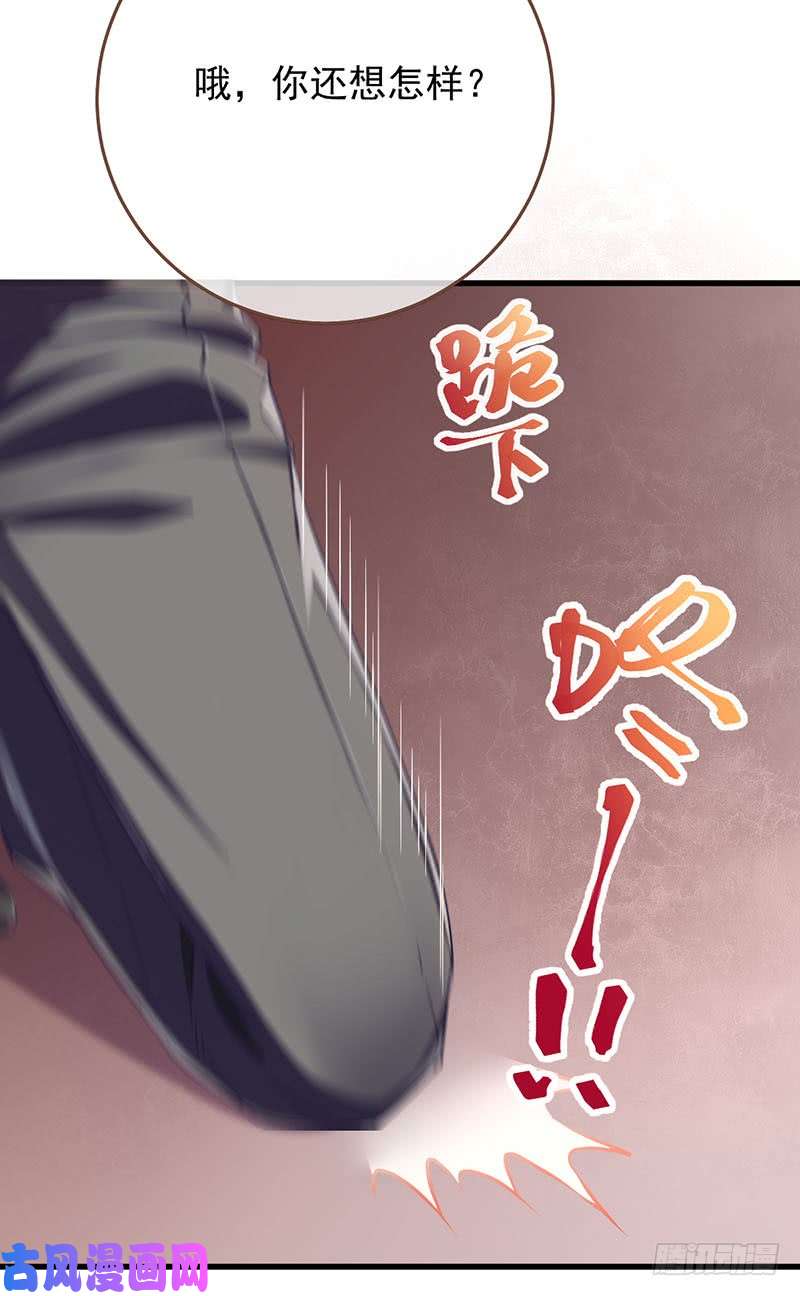 万渣朝凰求婚大作战