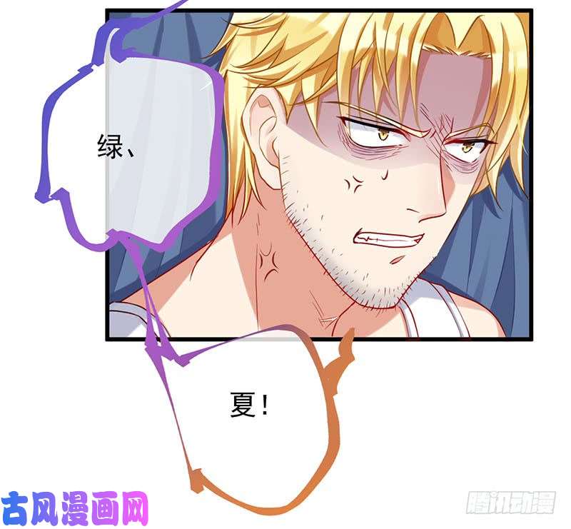 万渣朝凰求婚大作战
