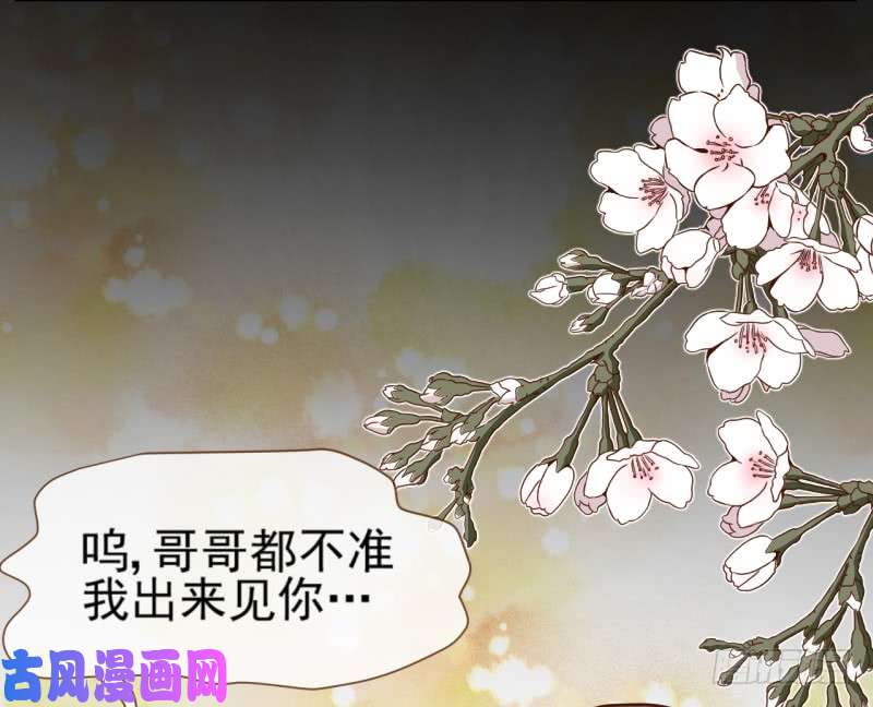 万渣朝凰你是疯儿我是傻