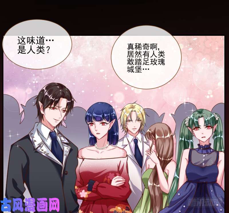 万渣朝凰修罗场之贵圈真乱