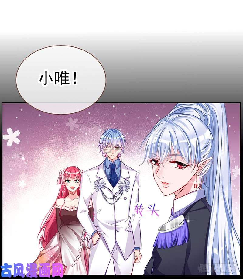 万渣朝凰修罗场之贵圈真乱