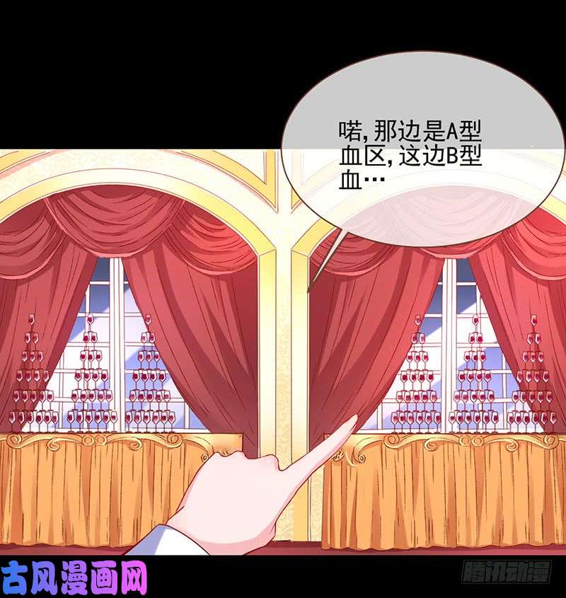 万渣朝凰修罗场之贵圈真乱
