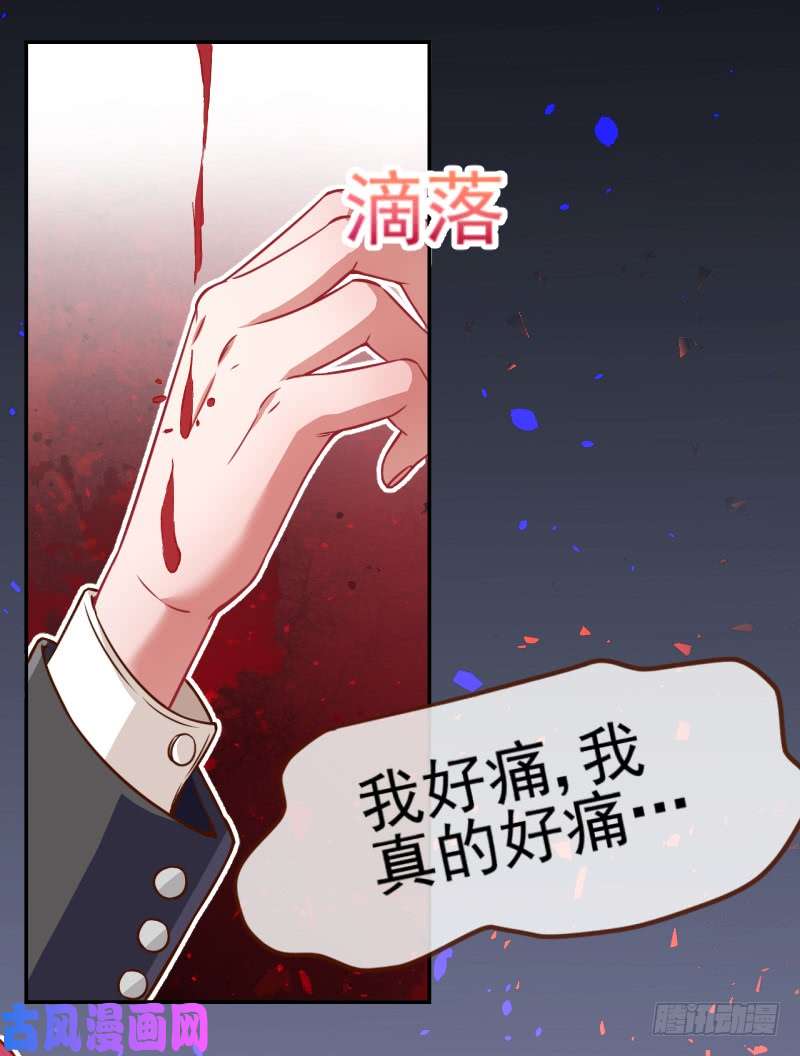 万渣朝凰血流成河