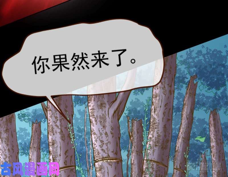 万渣朝凰美救英雄