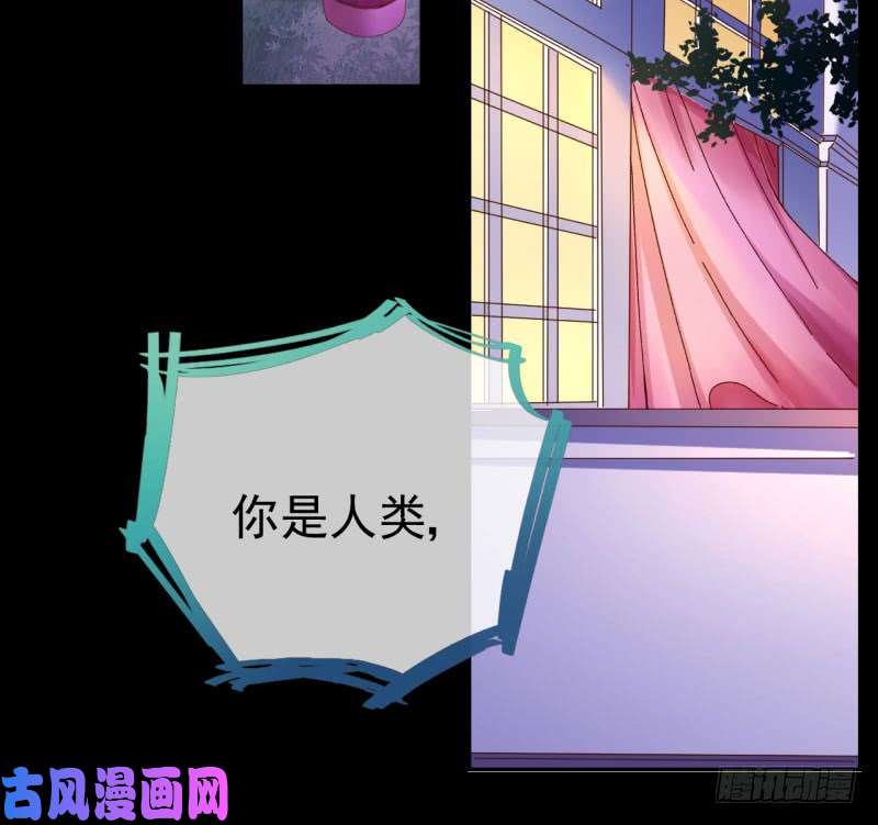 万渣朝凰红颜未老恩先绝