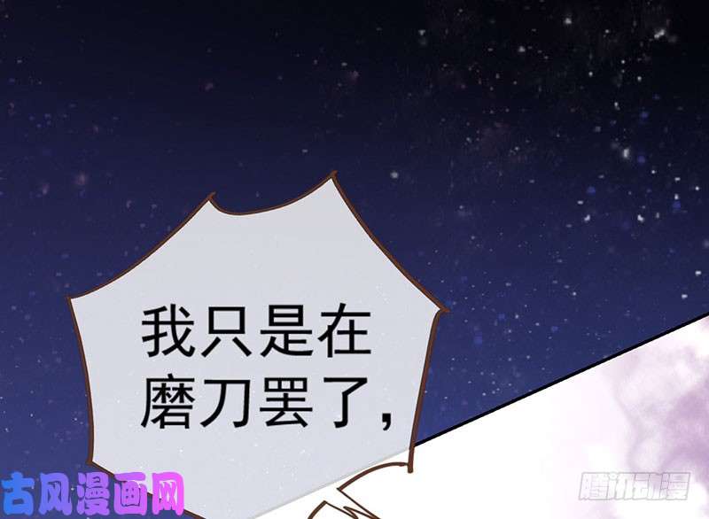 万渣朝凰红颜未老恩先绝