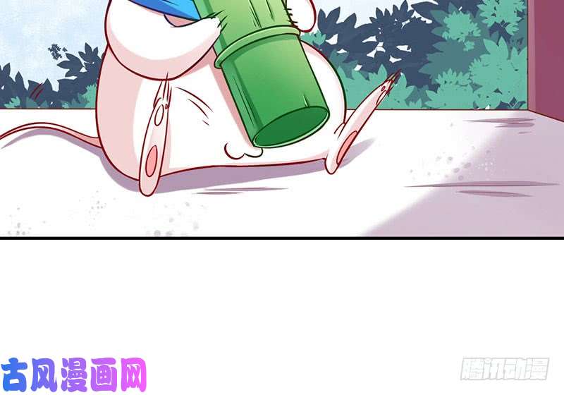万渣朝凰红颜未老恩先绝