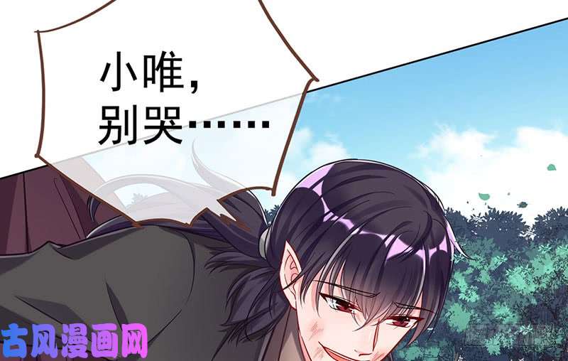 万渣朝凰进击的大反派