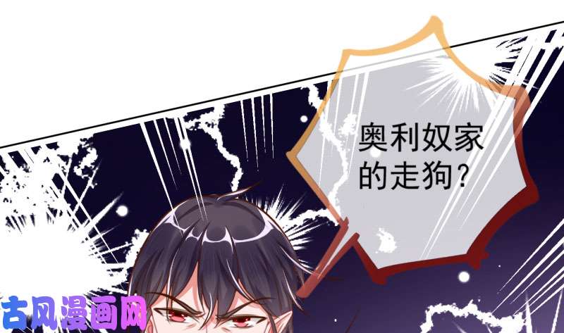 万渣朝凰进击的大反派