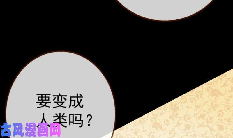 万渣朝凰你要变成人类吗？