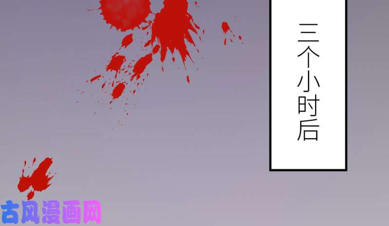万渣朝凰你要变成人类吗？