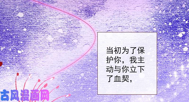 万渣朝凰你要变成人类吗？