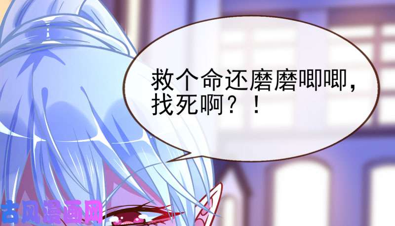 万渣朝凰因为我想看你们的笑话啊
