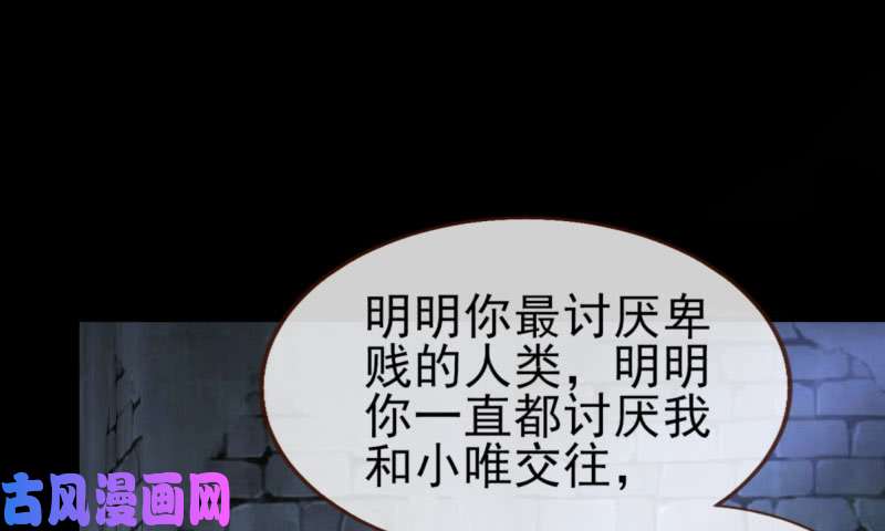 万渣朝凰因为我想看你们的笑话啊