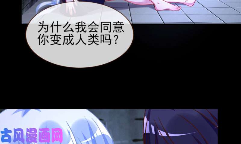 万渣朝凰因为我想看你们的笑话啊