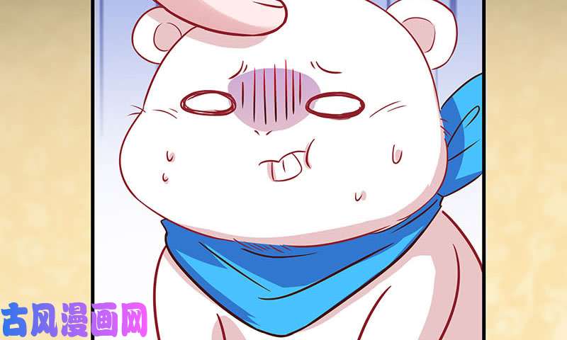 万渣朝凰因为我想看你们的笑话啊