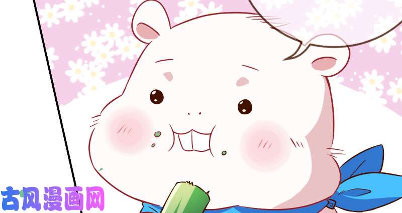万渣朝凰初拥我吧，苏绿夏！
