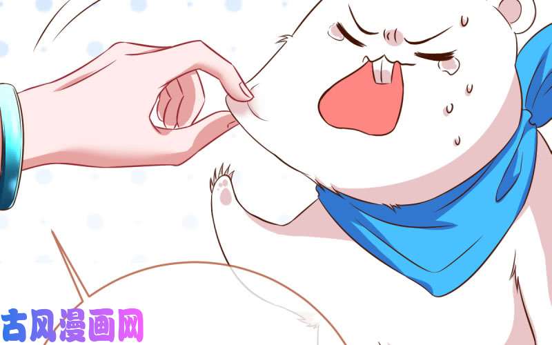 万渣朝凰霸道军阀