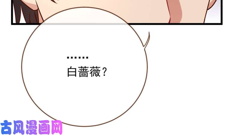 万渣朝凰女人，你敢拒绝我？