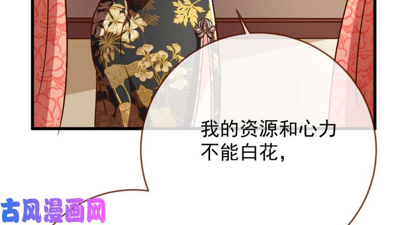 万渣朝凰羊毛要一把一把地薅