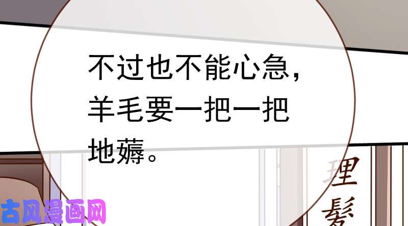 万渣朝凰羊毛要一把一把地薅