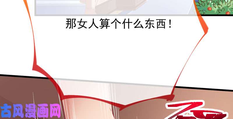 万渣朝凰全场最佳的婆婆