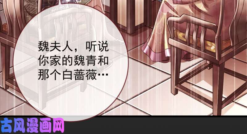 万渣朝凰这些男人，我都要！