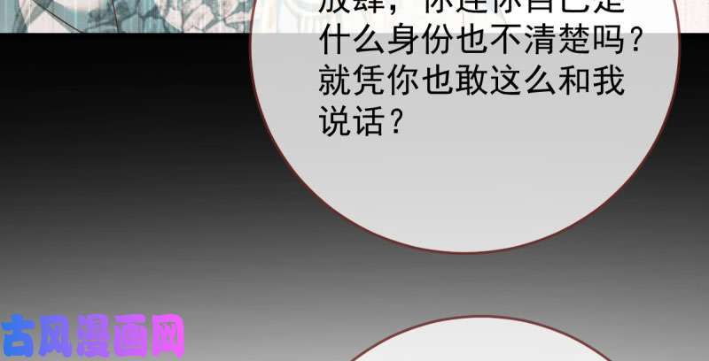 万渣朝凰这些男人，我都要！