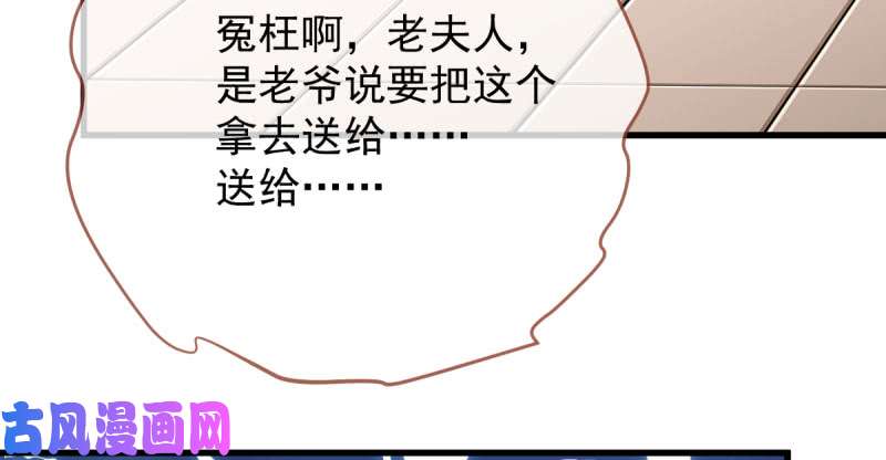 万渣朝凰婆婆小三两败俱伤