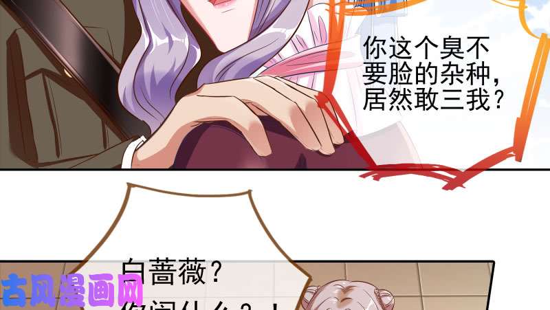 万渣朝凰替身大战白月光