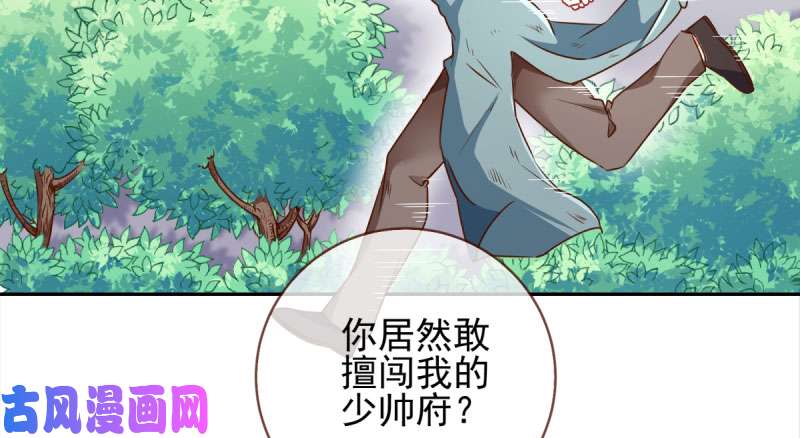 万渣朝凰有情人终成眷属