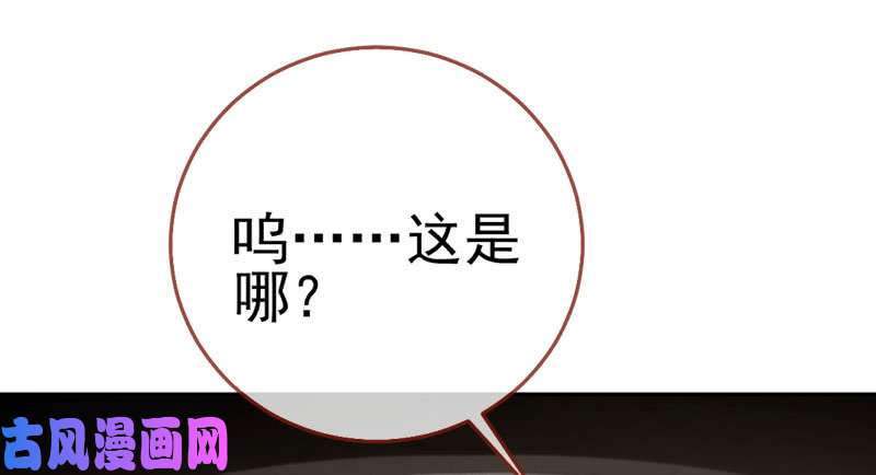 万渣朝凰有情人终成眷属