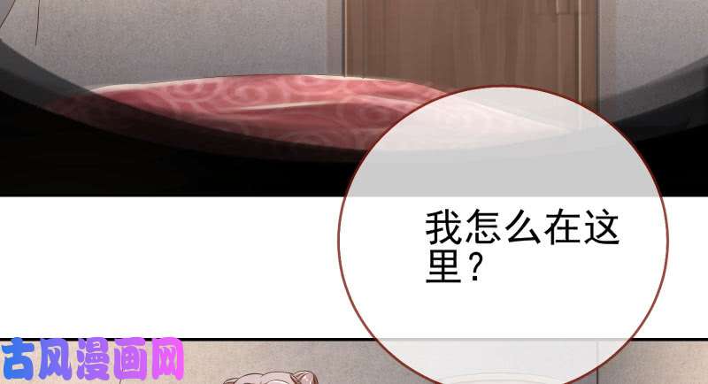万渣朝凰有情人终成眷属