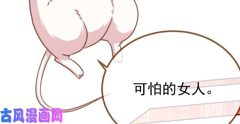 万渣朝凰姐教你做人