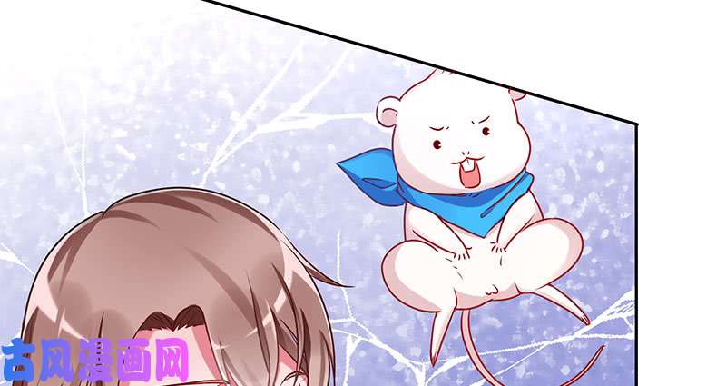 万渣朝凰女主老妈杀来