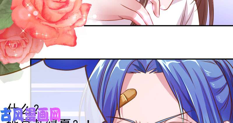 万渣朝凰支票你随便填