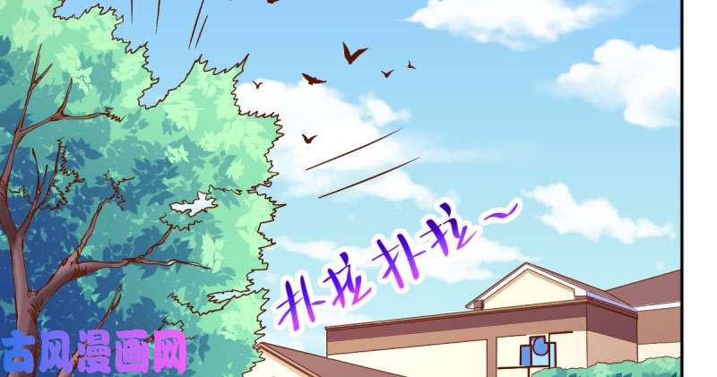 万渣朝凰狗血女配登场