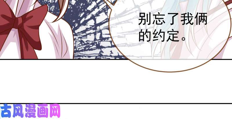 万渣朝凰联手
